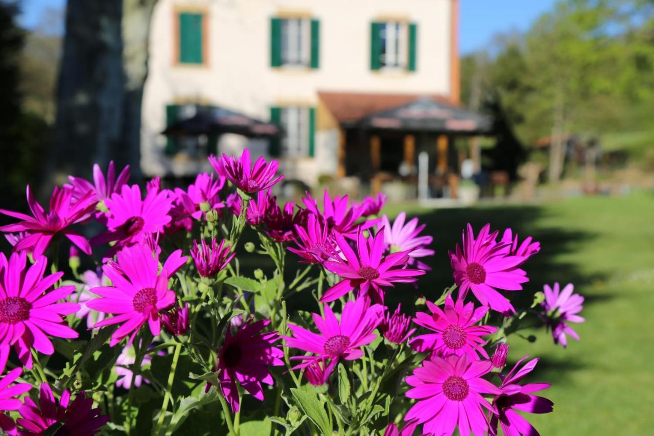 Le Bonnet De Nuit Bed & Breakfast Chalmoux Exterior photo